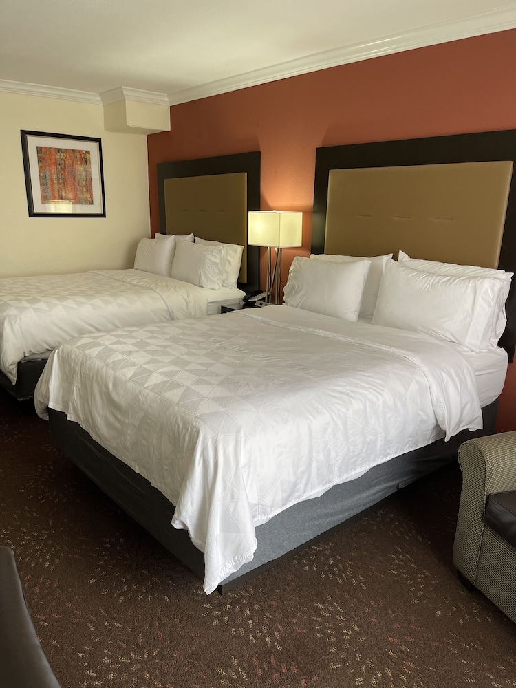 Holiday Inn Tyler Conference Center by IHG - photo 15