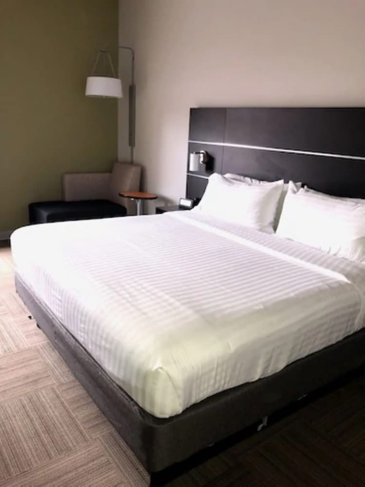 Holiday Inn Express Venice by IHG - photo 10
