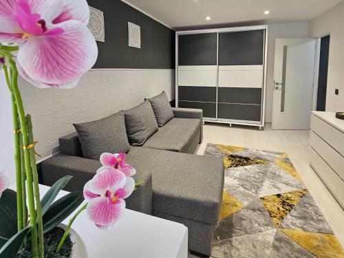 Apartament Zarnesti VMP Free Parking in Zarnesti, Romania