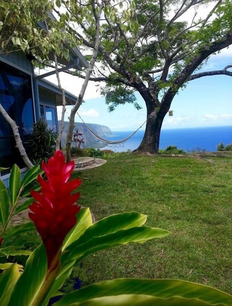 Hale Kukui Orchard & Cottages - photo 41
