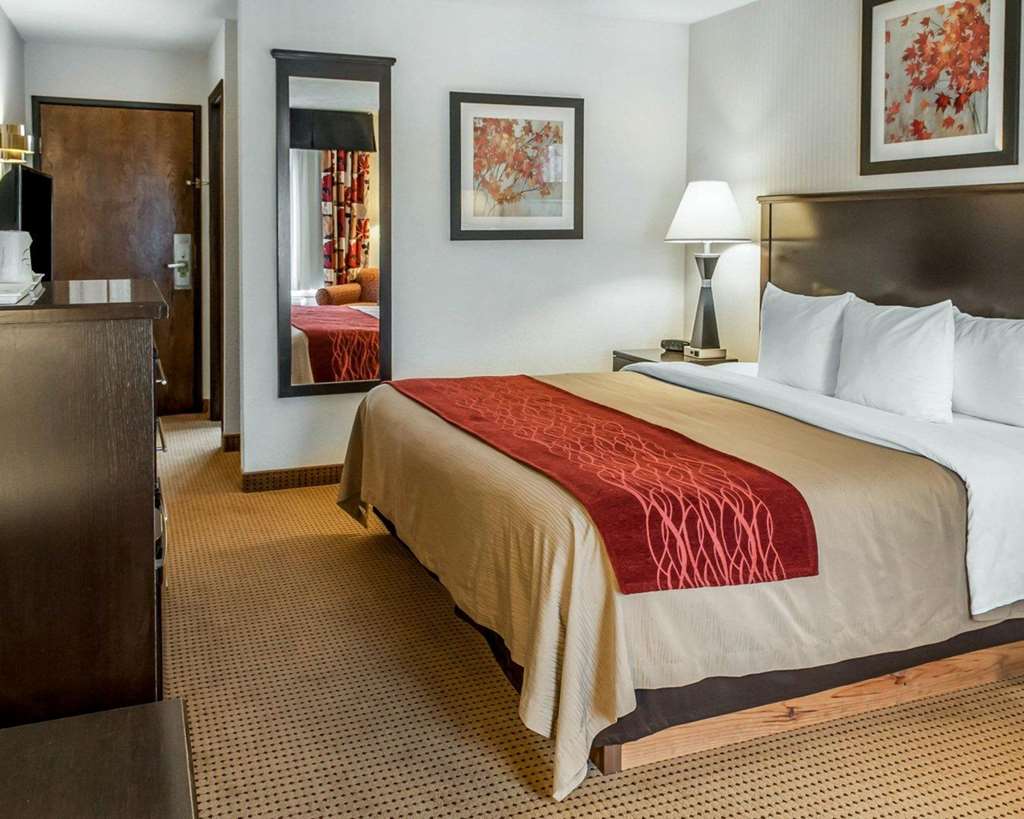 Quality Inn & Suites Farmington - photo 16
