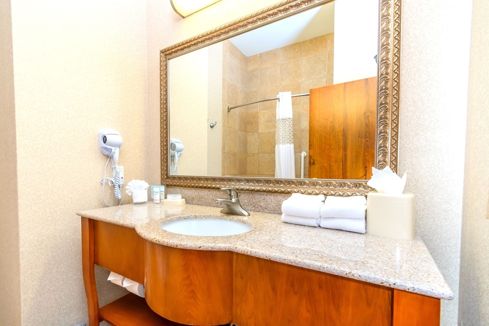 Hampton Inn and Suites College Station - photo 44