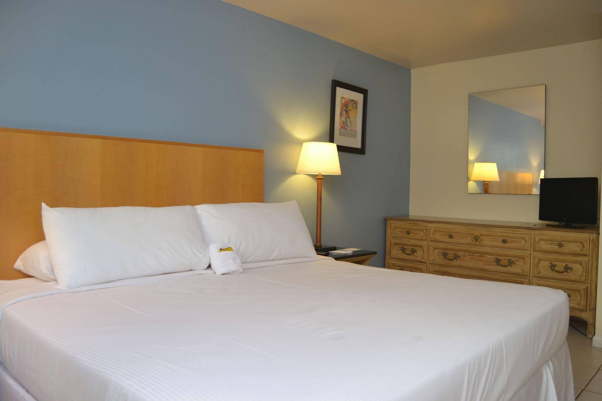 Elysium Resort - photo 12