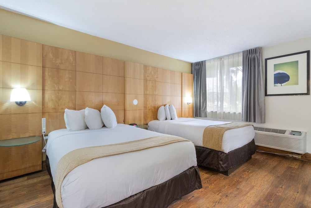 Ocean Reef Hotel - photo 6