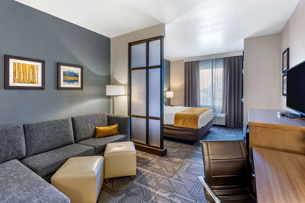 Comfort Inn & Suites Salt Lake City Airport - photo 59