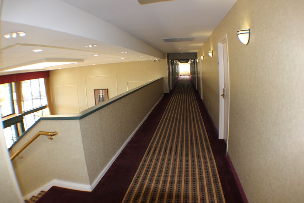 The Garden Inn - photo 12