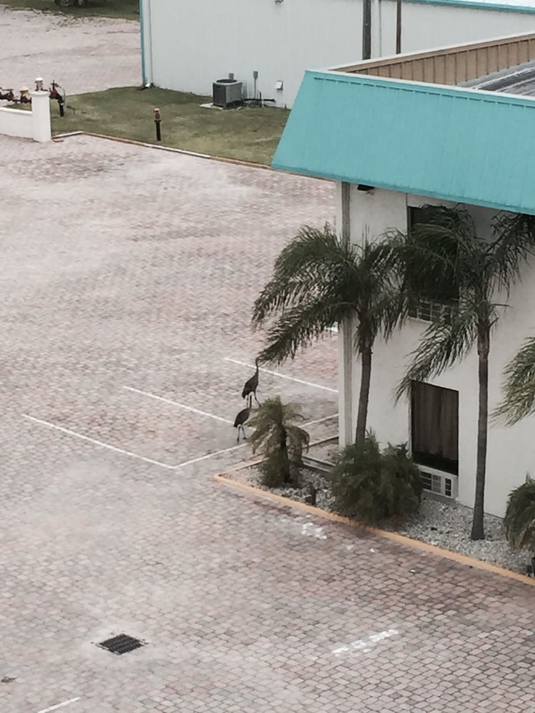 Days Inn & Suites by Wyndham Lake Okeechobee - photo 80