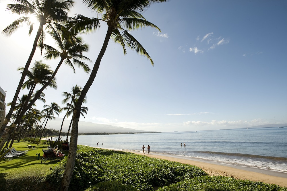 Sugar Beach Resort - photo 56