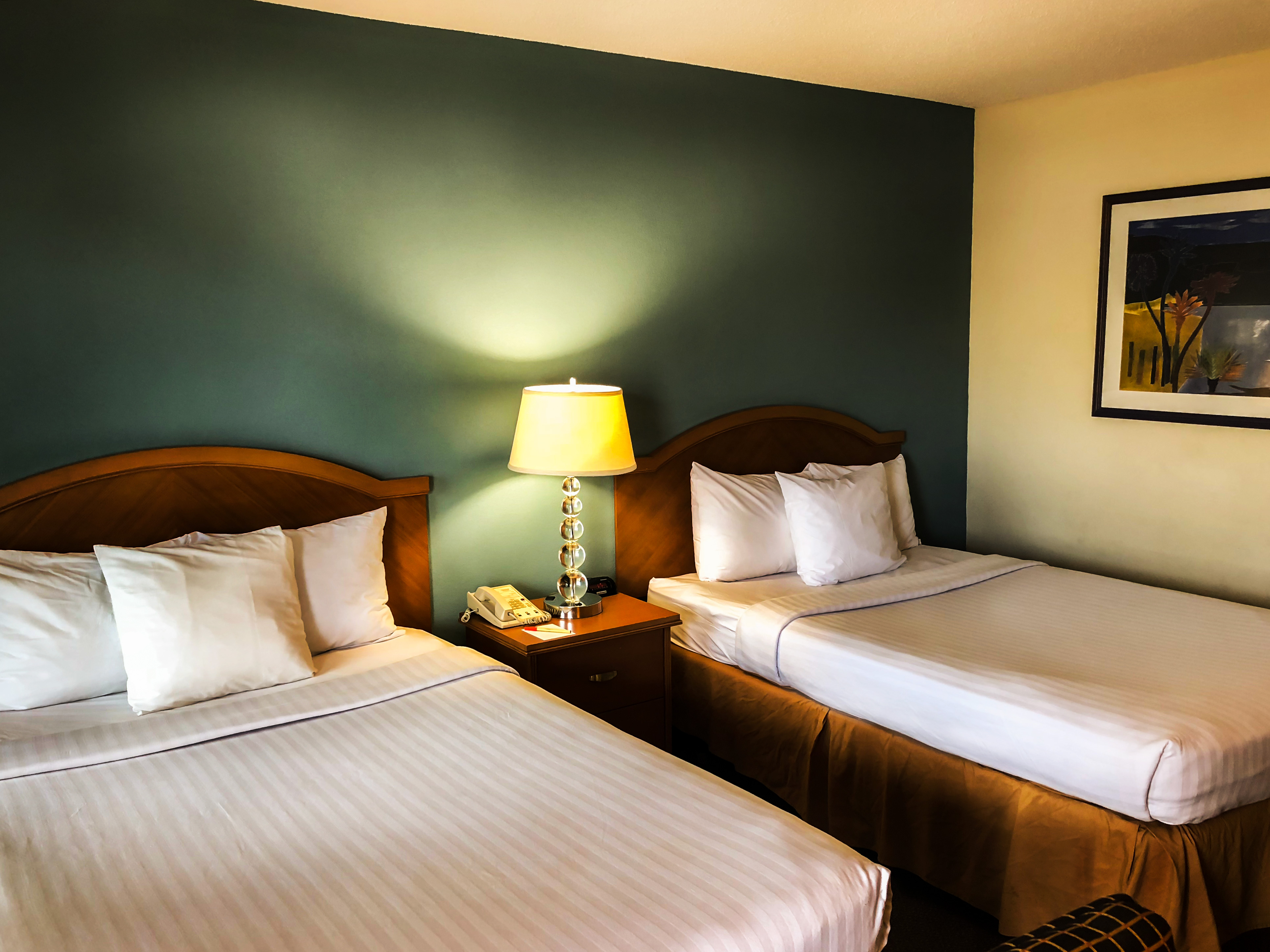 International Palms Resort - photo 16