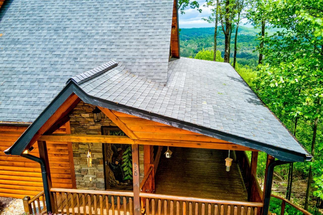 Black Bear View in Morganton, United States