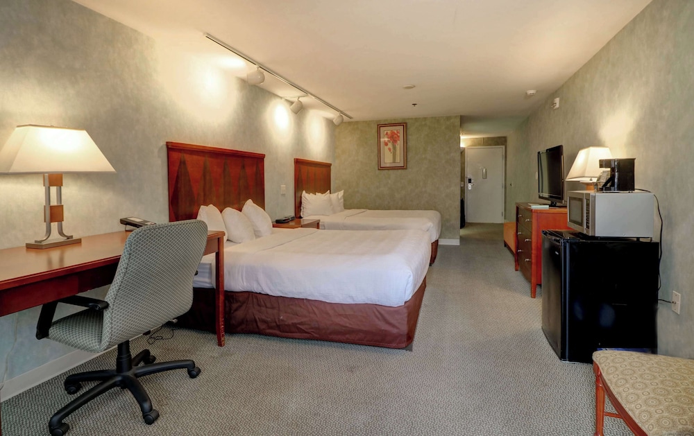 Senator Inn & Spa - photo 46