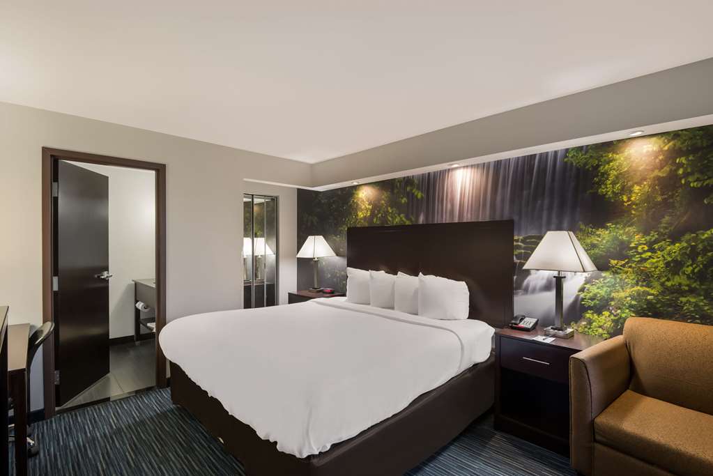 Clarion Pointe Downtown - photo 12