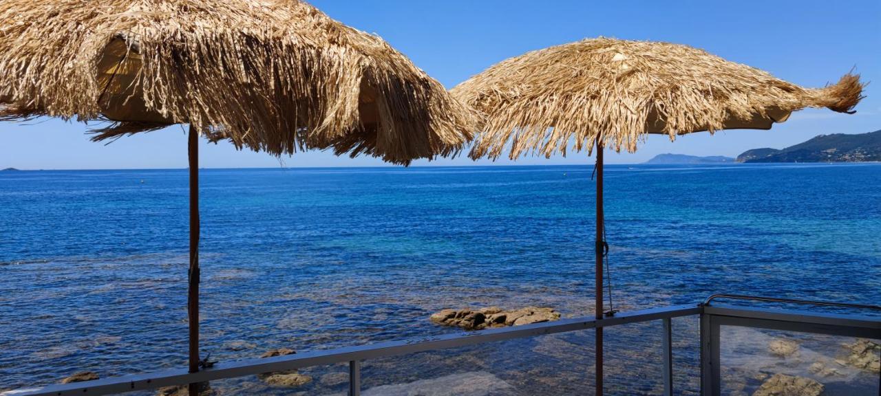 Stella Maris - carbon neutral hotel in Hyeres