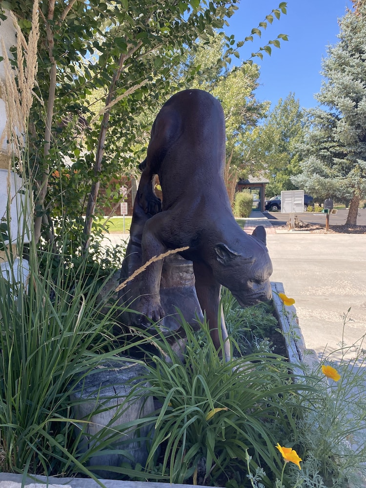 Browns Canyon Inn - photo 66