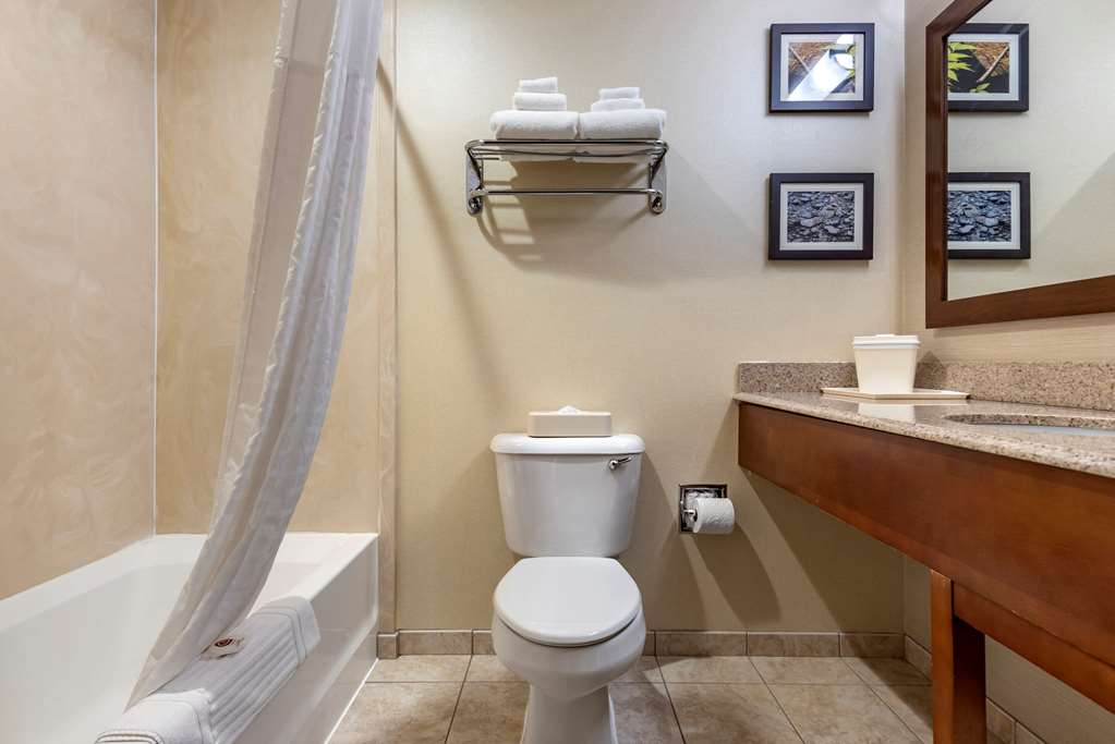 Comfort Inn & Suites Farmington Victor - photo 8