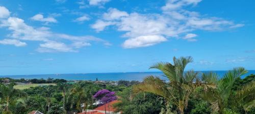 Three Little Birds Guesthouse — 4-Star Luxury Hotel in Durban, South Africa