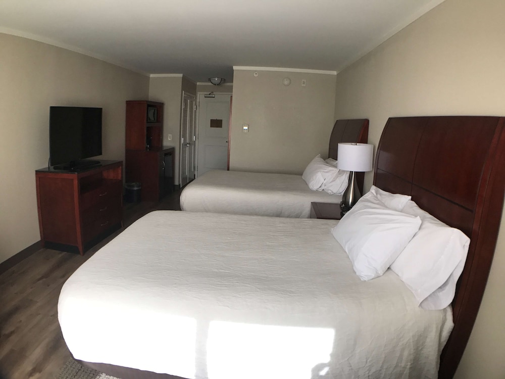 Hilton Garden Inn Bowling Green - photo 31