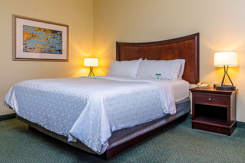 Holiday Inn Express Indianapolis Airport by IHG - photo 16