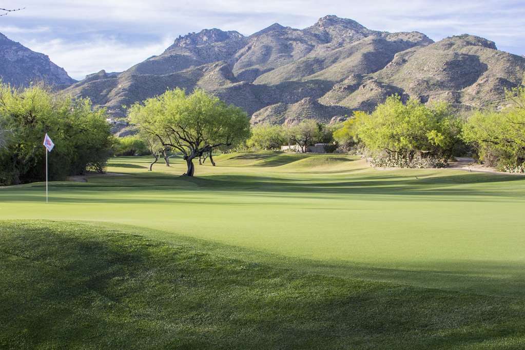Ventana Canyon Club and Lodge - photo 22