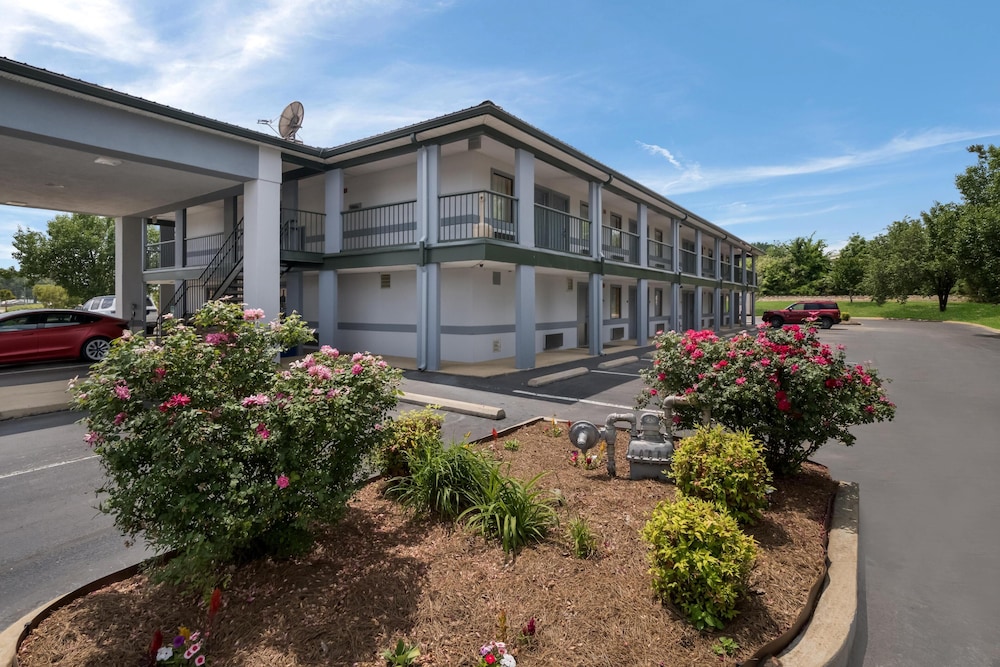 The Jewel Motel - photo 16