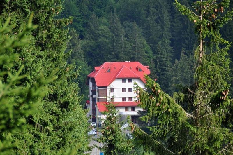 Hotel Cota O Mie — hotel in Moroeni