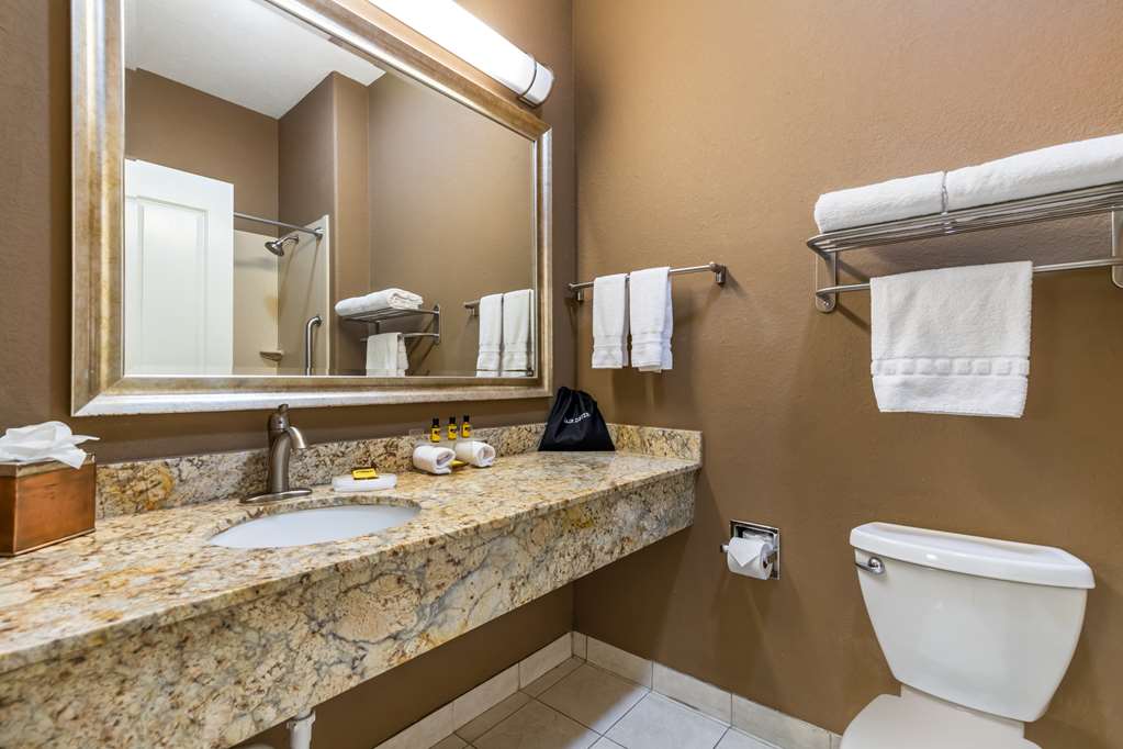 Best Western Plus Lytle Inn & Suites - photo 16