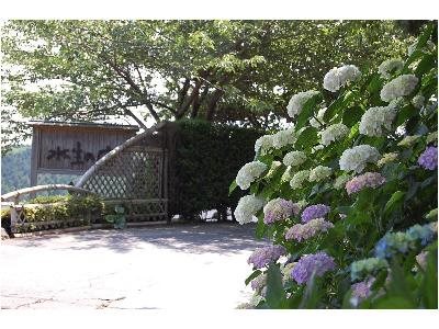 Mibunoshou - carbon neutral hotel in Izu