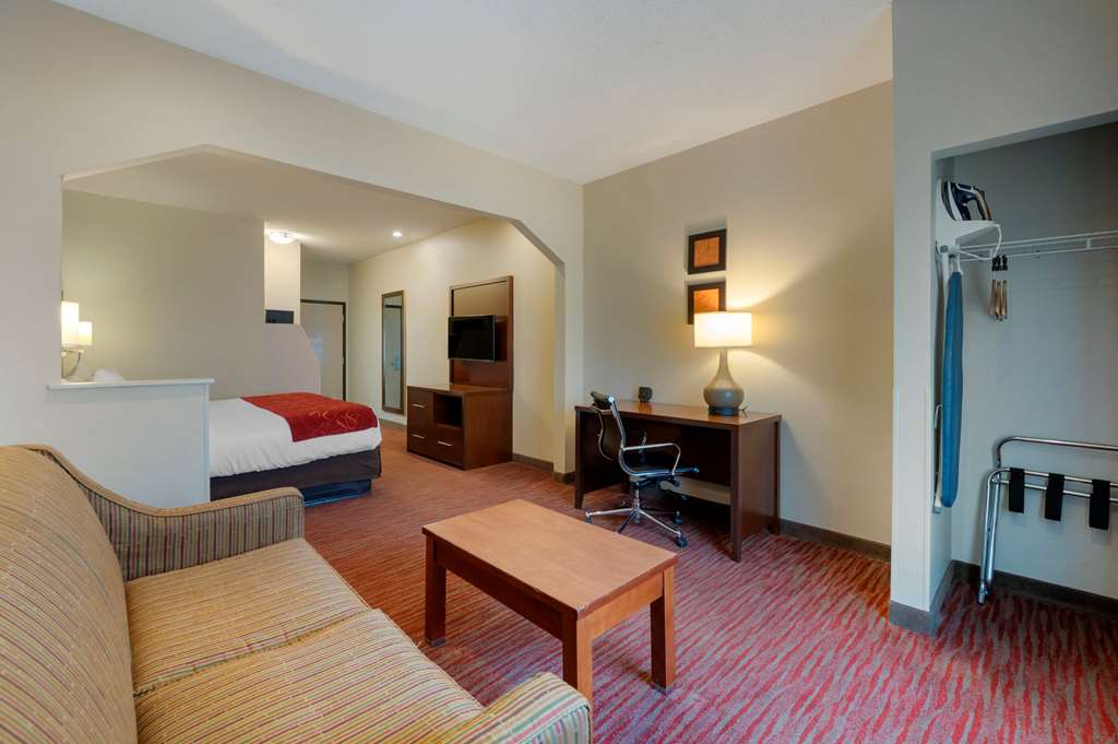Comfort Suites Columbus Expo Center - photo 7