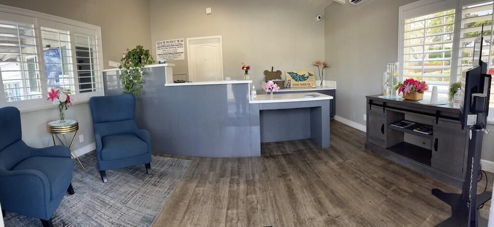 Ocean Palms Motel - photo 2