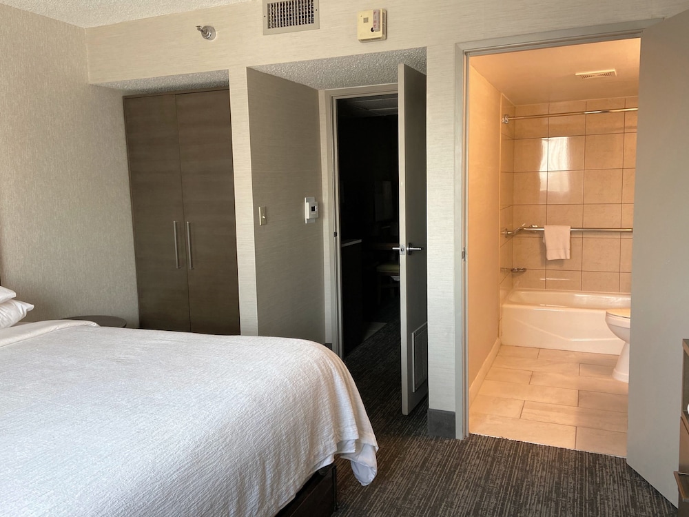 Embassy Suites by Hilton Chicago Schaumburg Woodfield - photo 18