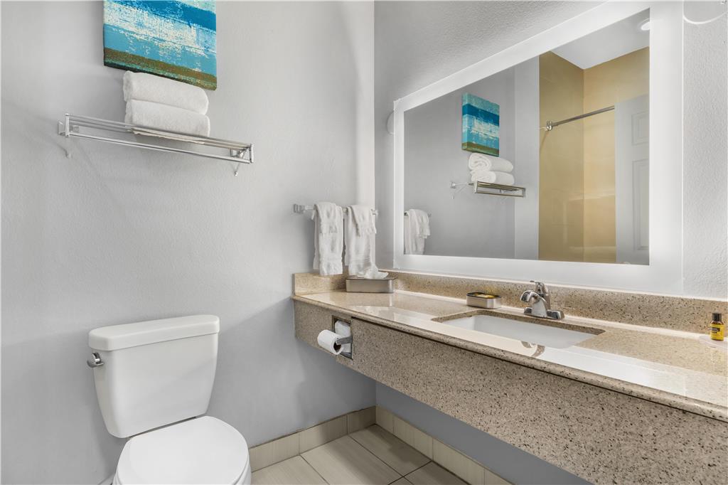 Best Western Plus Fort Worth Forest Hill Inn & Suites - photo 13