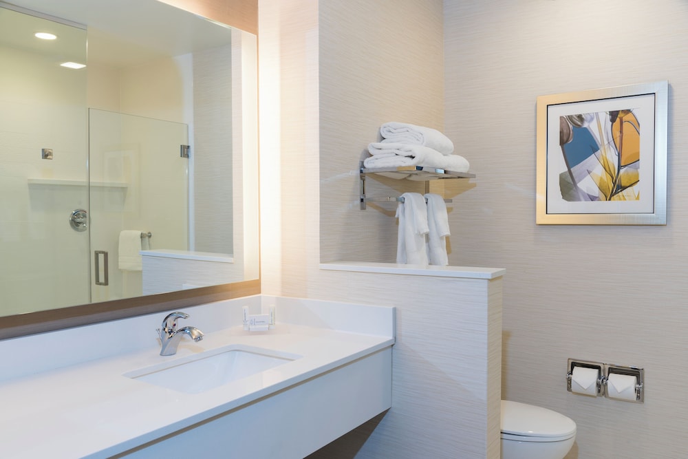 Fairfield Inn & Suites by Marriott Indianapolis Fishers - photo 16