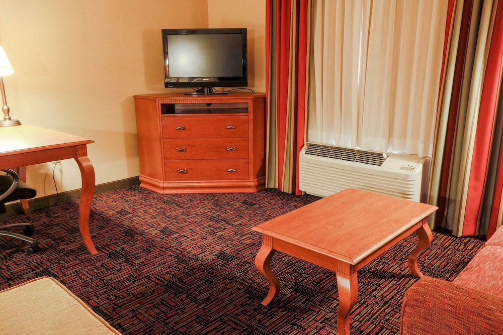 Hampton Inn & Suites by Hilton Tomball Houston NW - photo 8