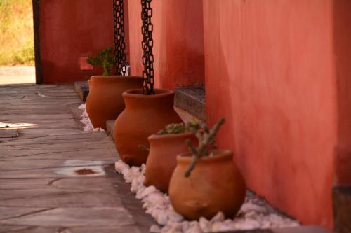 Waytay — Cafayate — photo 4