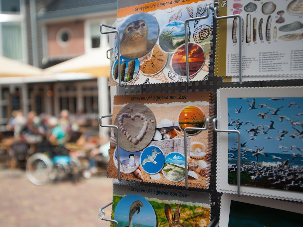 Kustlijn vakantiewoning — 4-Star Luxury Hotel in Egmond Aan Zee, Netherlands