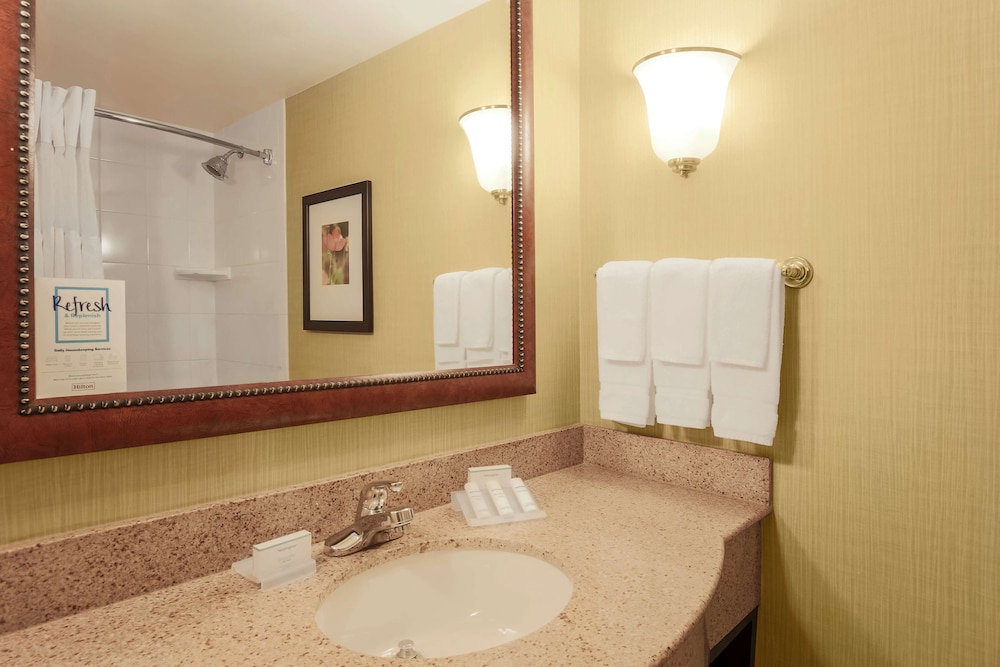 Hilton Garden Inn Chicago Midway Airport - photo 12