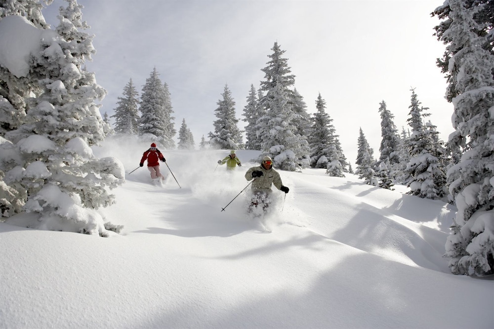 Vail Spa 321 - photo 17