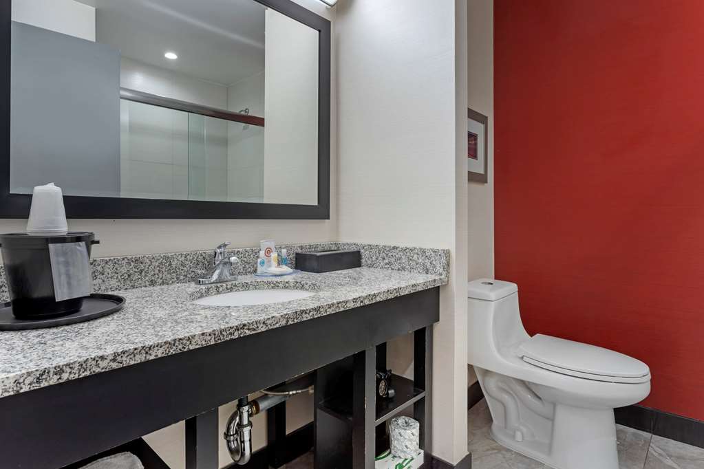 Comfort Inn & Suites near Stadium - photo 39