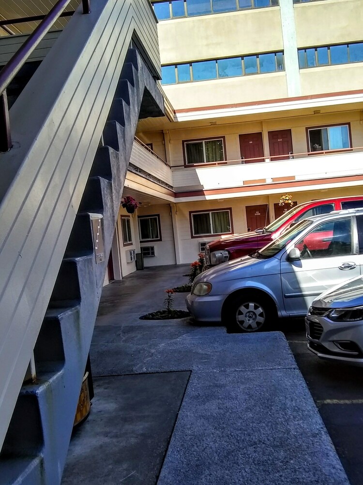 Olympia Inn - photo 19