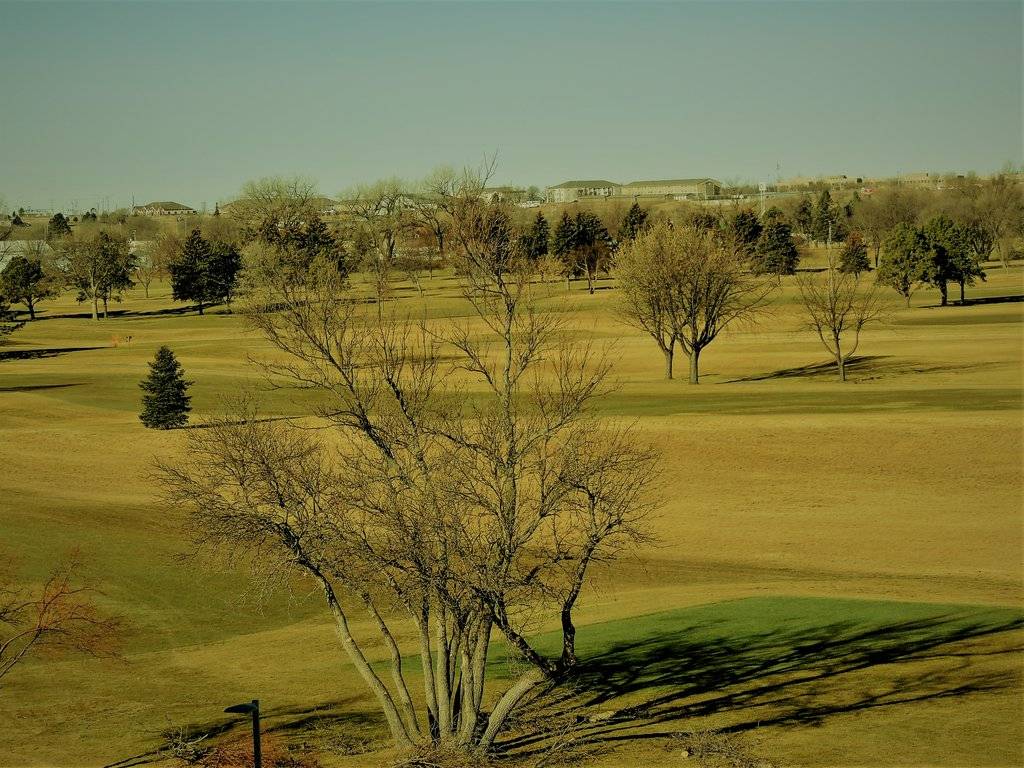 Holiday Inn & Suites Sioux Falls Airport by IHG - photo 20