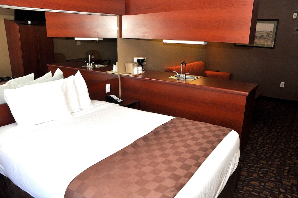 Microtel Inn & Suites by Wyndham Lithonia Stone Mountain - photo 12
