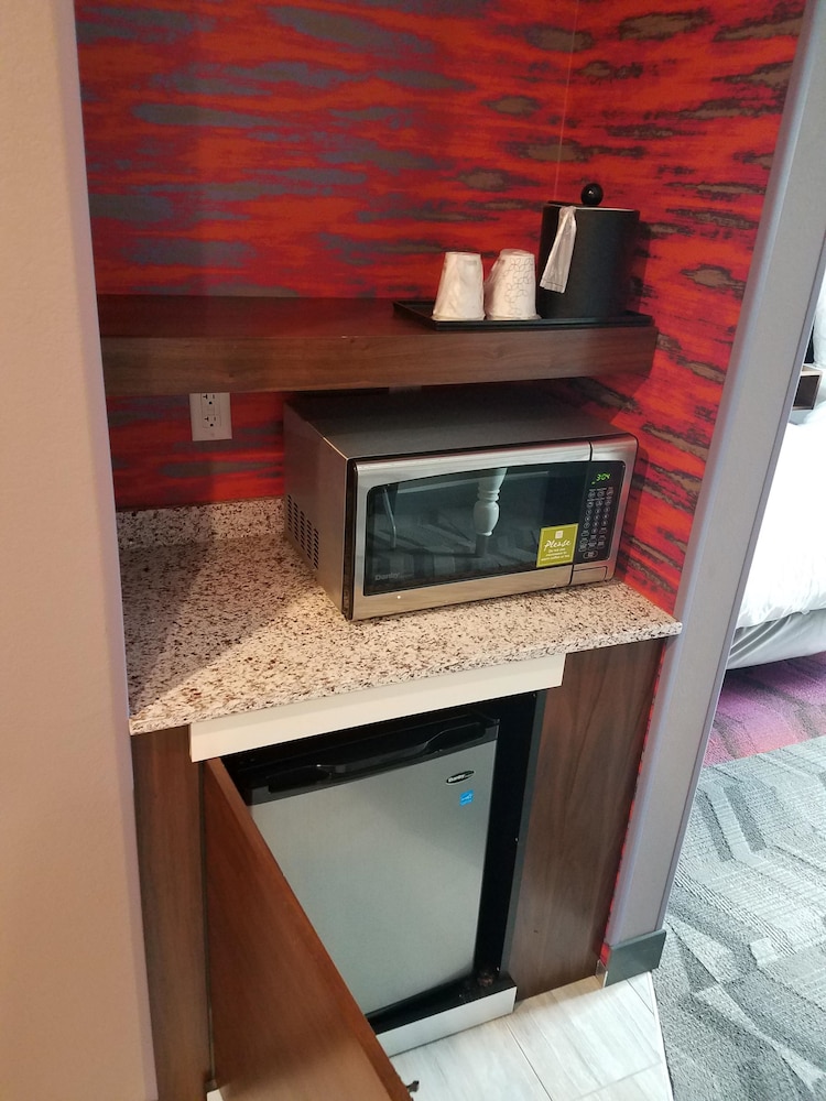Hilton Garden Inn Tampa Suncoast Parkway - photo 33