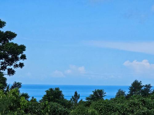 Royal Escape 2 — Anse La Raye — photo 4