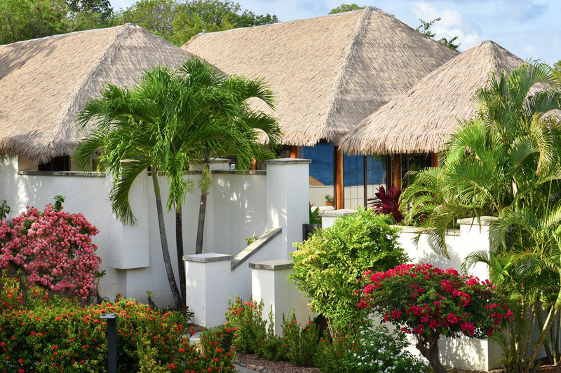 Paradise Beach Nevis — Cotton Ground