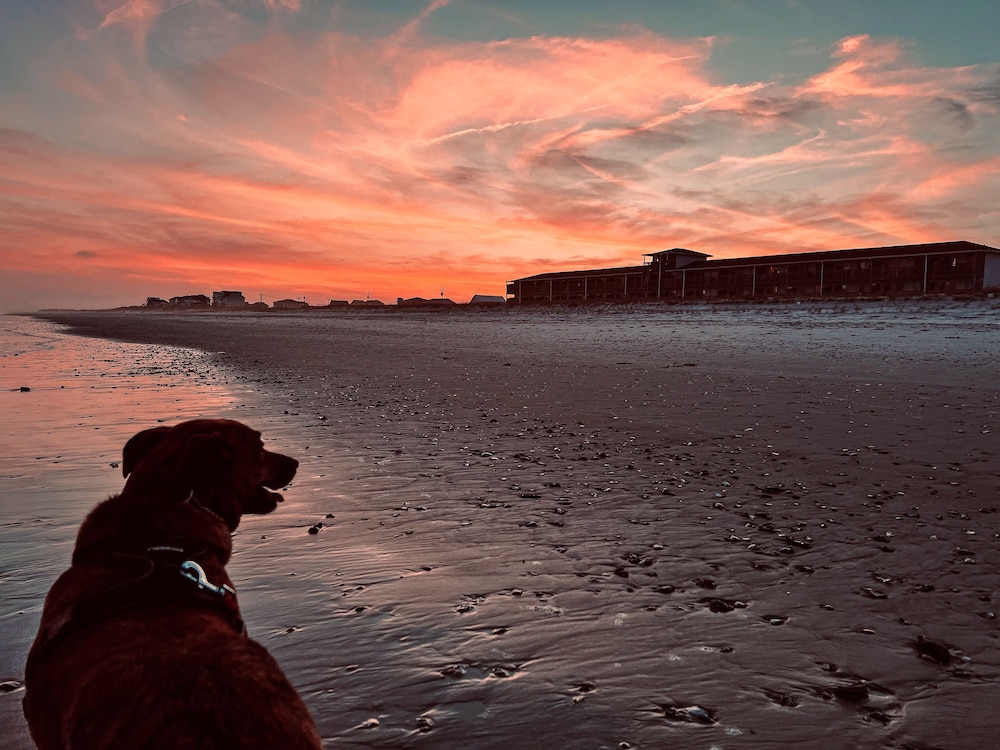 Sea Vista Motel — hotel in Holly Ridge