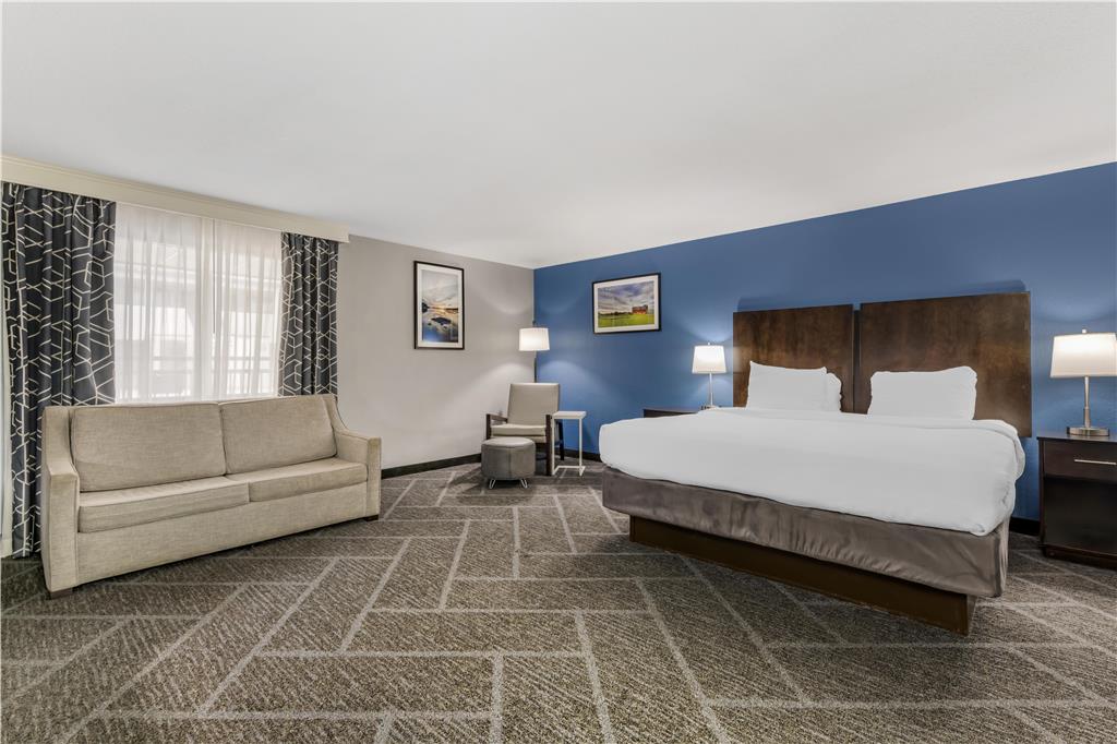 Best Western Rochester Hotel Mayo Clinic Area St. Marys - photo 22