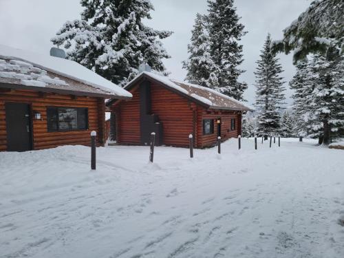 Cooper Spur Mountain Resort - photo 49