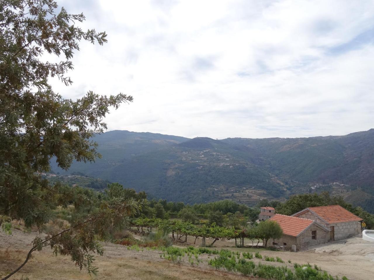Quinta de S. Cipriano — Resende — photo 4
