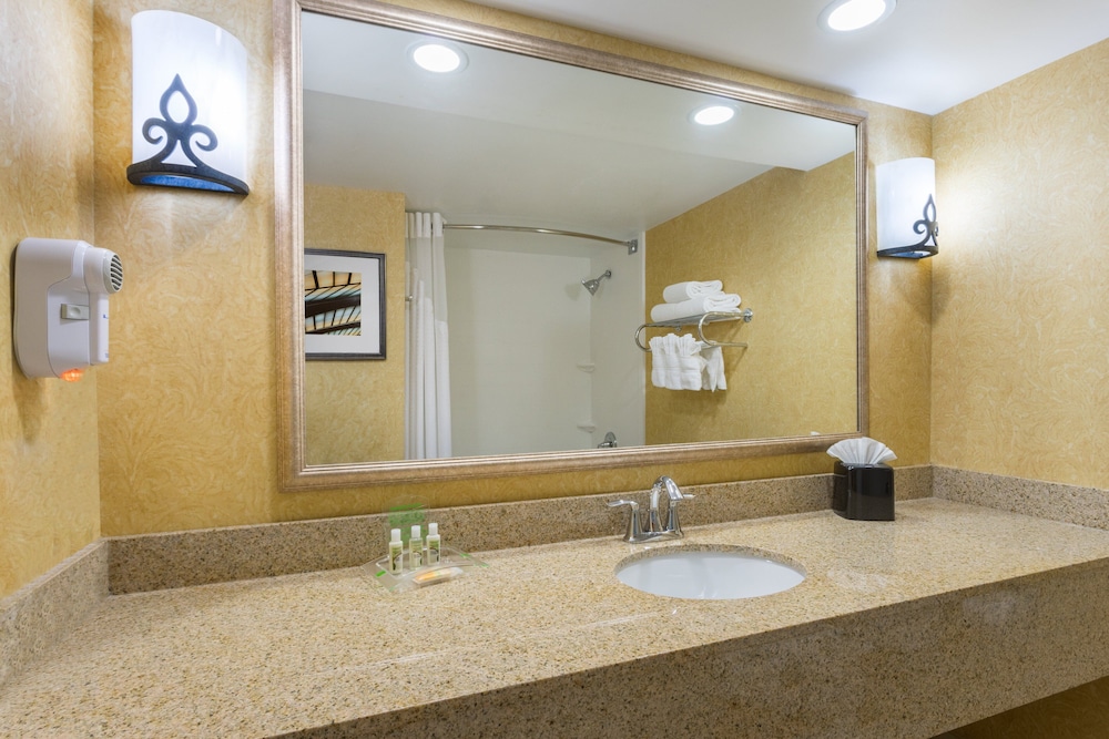 Holiday Inn Baltimore BWI Airport by IHG - photo 11