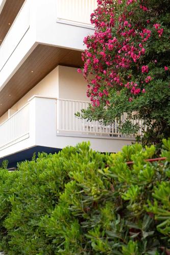 Hotel Mhami — 4-Star Luxury Hotel in Pulsano, Italy